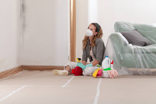 Reliable Mold Testing contractor in Clinton, KY by WQB Mold Removal